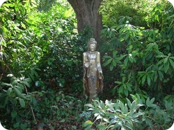 Buddha statues everywhere in the wonderful garden